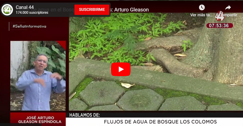 Flujos de agua en el Bosque Los Colomos: Arturo Gleason