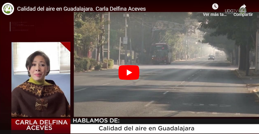 Calidad del aire en Guadalajara. Carla Delfina Aceves