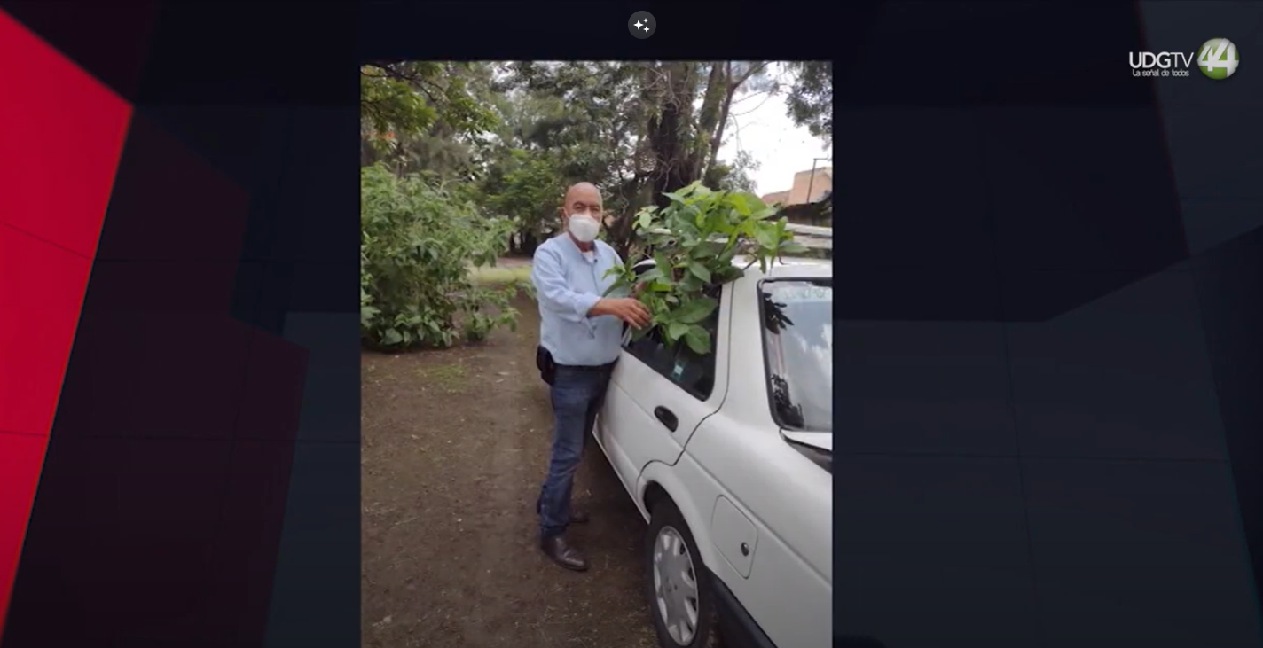 Calcula el Señor Árbol haber plantado seis mil ejemplares por toda la ciudad
