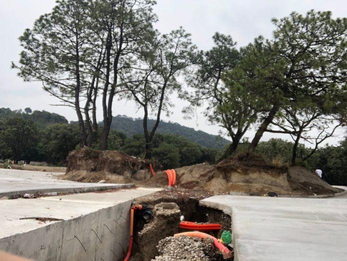 Tala Primavera - María Ramírez Blanco 2