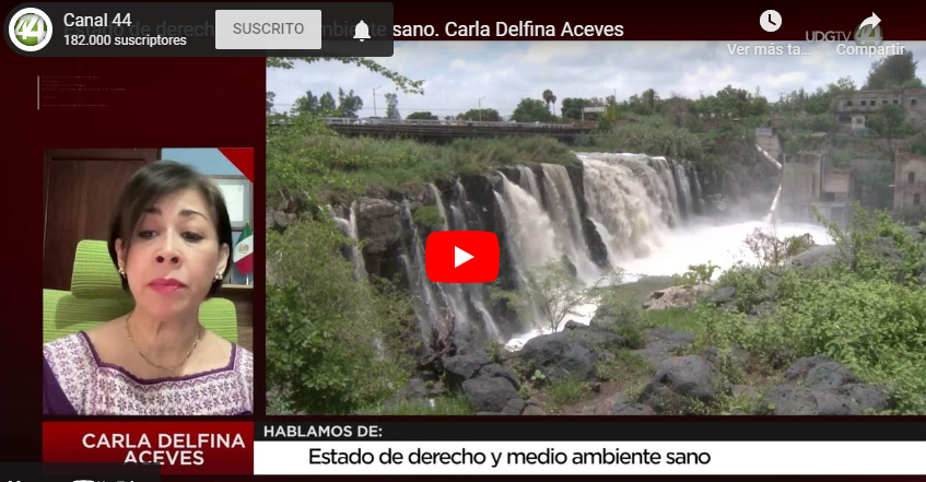 Estado de derecho y medio ambiente sano. Carla Delfina Aceves