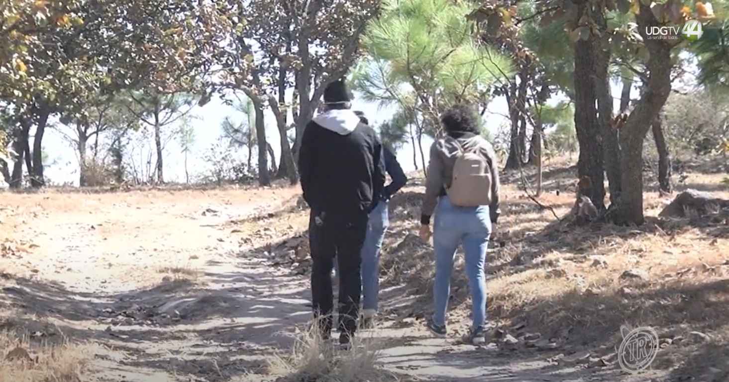 Territorio Reportaje || Fuego forestal, alto riesgo