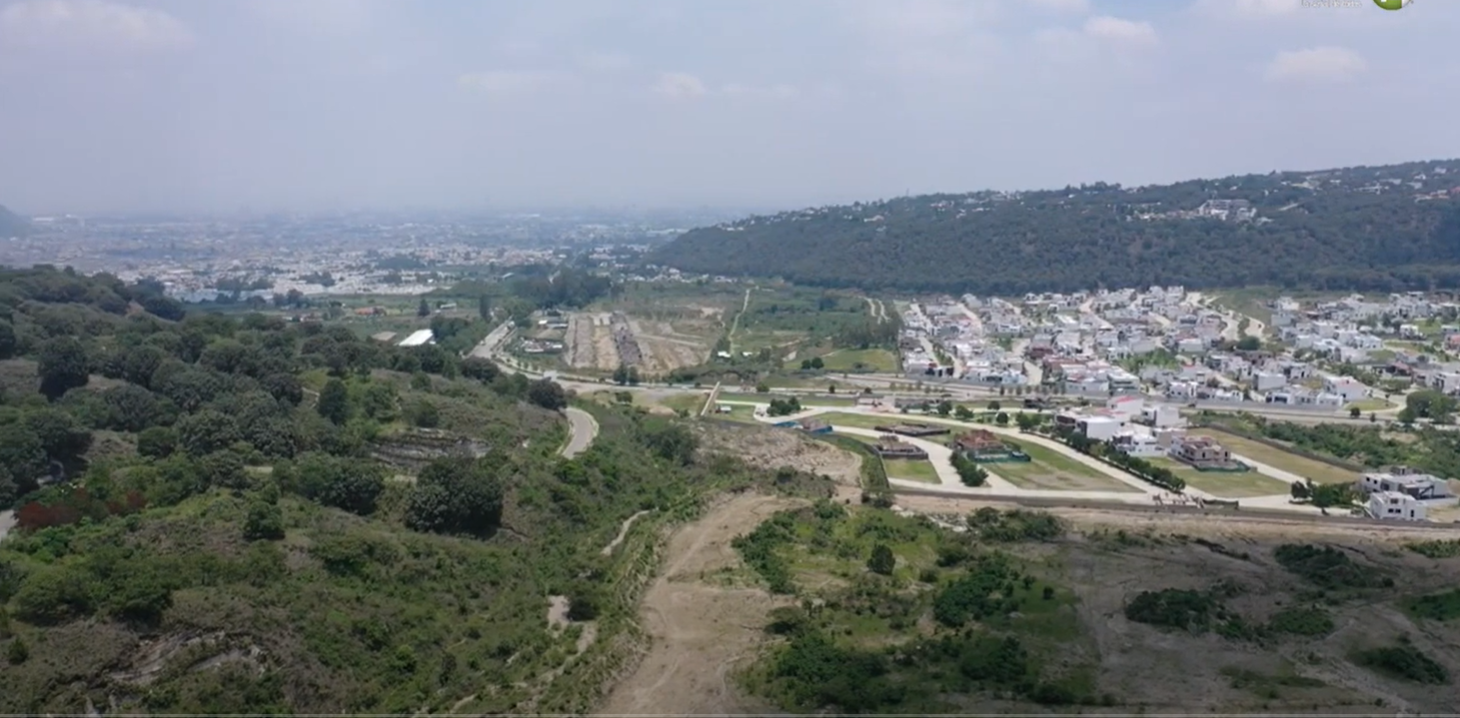 Territorio Reportaje || La primavera, la protección incompleta. Tercera parte
