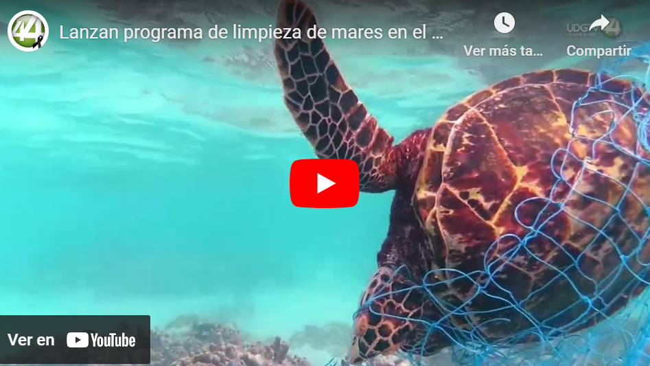 Lanzan programa de limpieza de mares en el Pacífico Central Mexicano