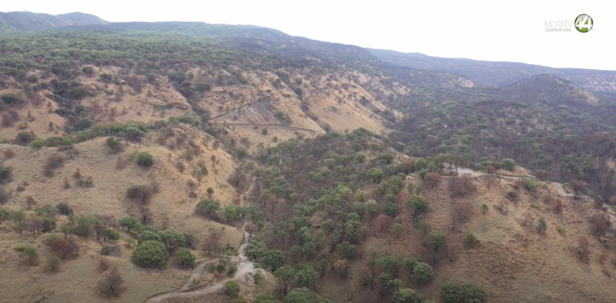 Territorio Reportaje | La primavera, la protección incompleta. Cuarta parte