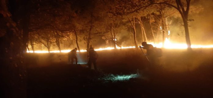 incendio_ primavera. abril 2023