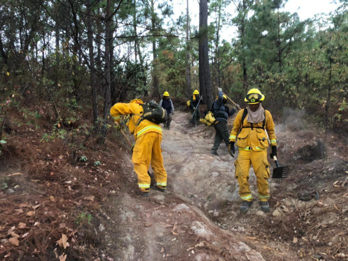 Suman 11 municipios de Jalisco en alerta ambiental por incendios forestales