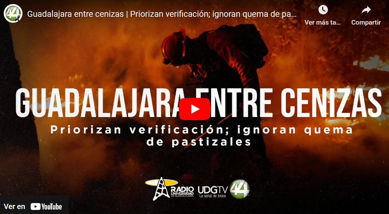 Guadalajara entre cenizas | Priorizan verificación; ignoran quema de pastizales