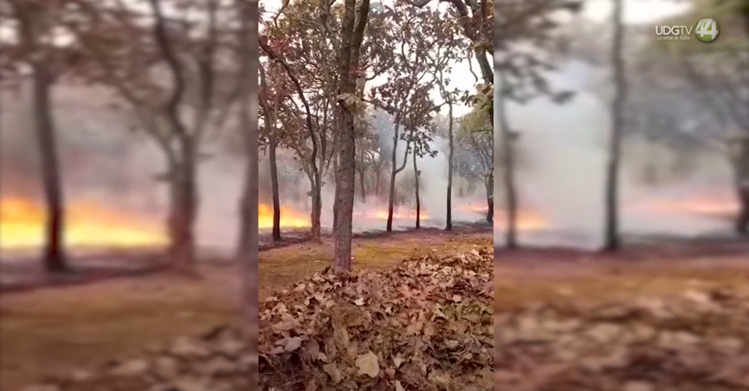 Urge modificar estrategias ambientales en Jalisco para prevenir y controlar de incendios, concluyen