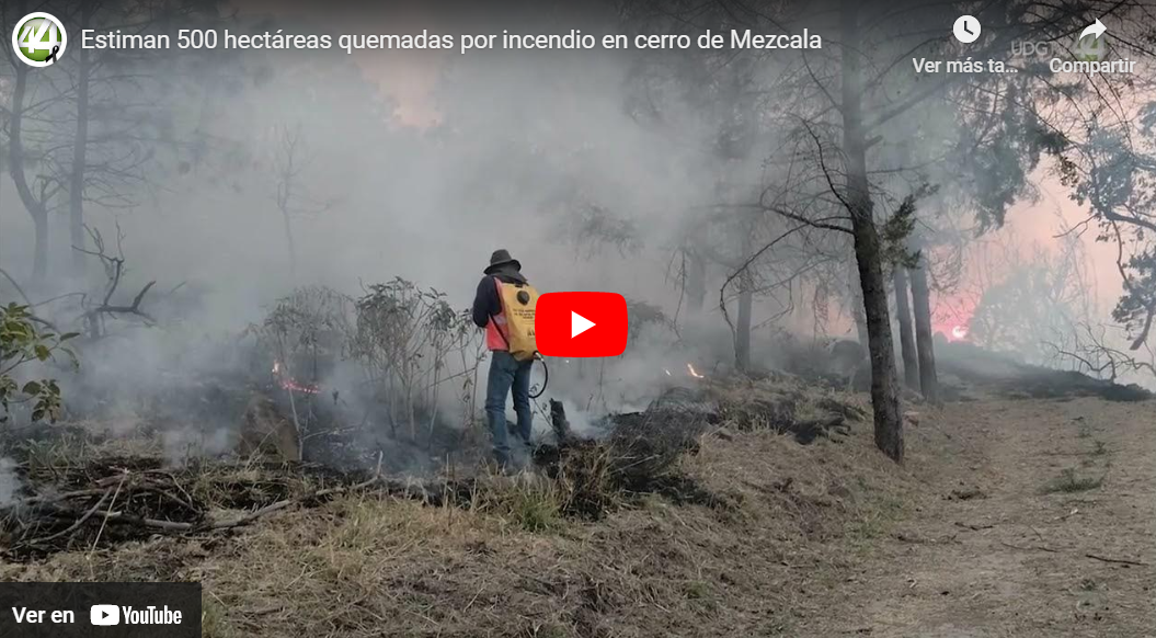 Estiman 500 hectáreas quemadas por incendio en cerro de Mezcala