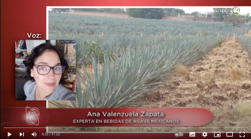 Territorio Reportaje | Tequila, Cómo enfrentar el Daño Ambiental (parte 3)