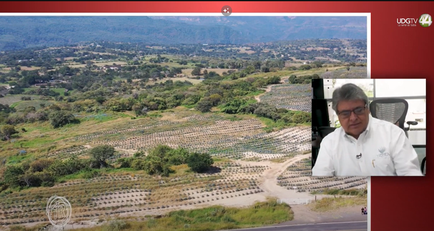Territorio Reportaje | Tequila, Cómo enfrentar el Daño Ambiental (parte 1).