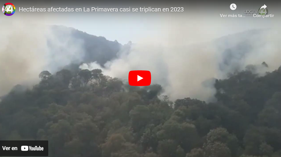 Hectáreas afectadas en La Primavera casi se triplican en 2023