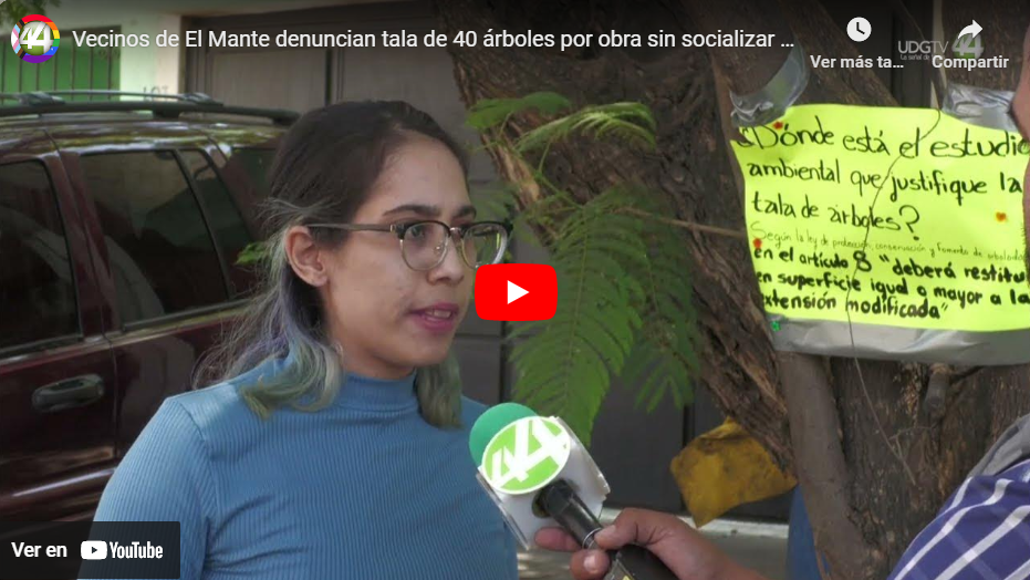 Vecinos de El Mante denuncian tala de 40 árboles por obra sin socializar de Zapopan