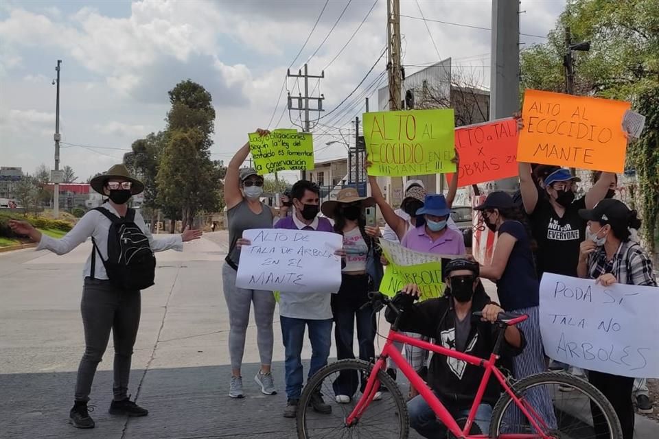 Exigen vecinos parar tala de árboles en El Mante | LABCSA