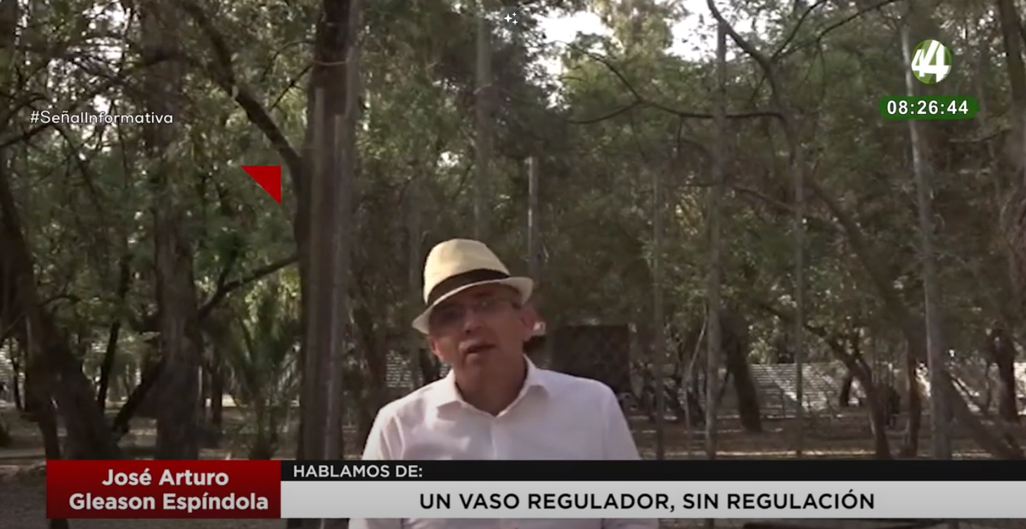 Un vaso regulador sin regulación: José Arturo Gleason Espíndola
