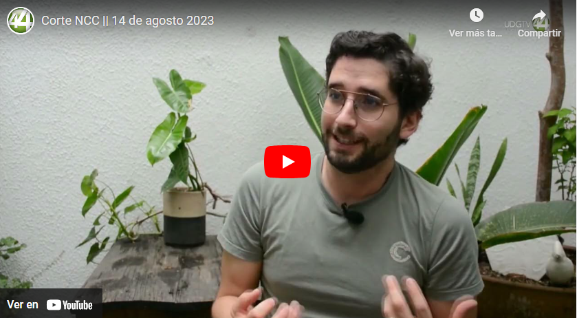 Producción de tequila y los daños al medio ambiente