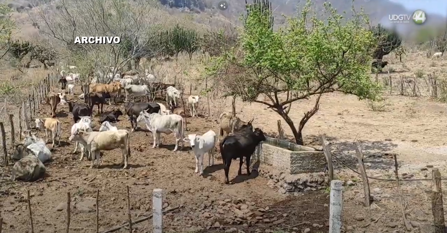 Reservas hídricas en la región de Autlán, insuficientes para enfrentar el siguiente año agrícola
