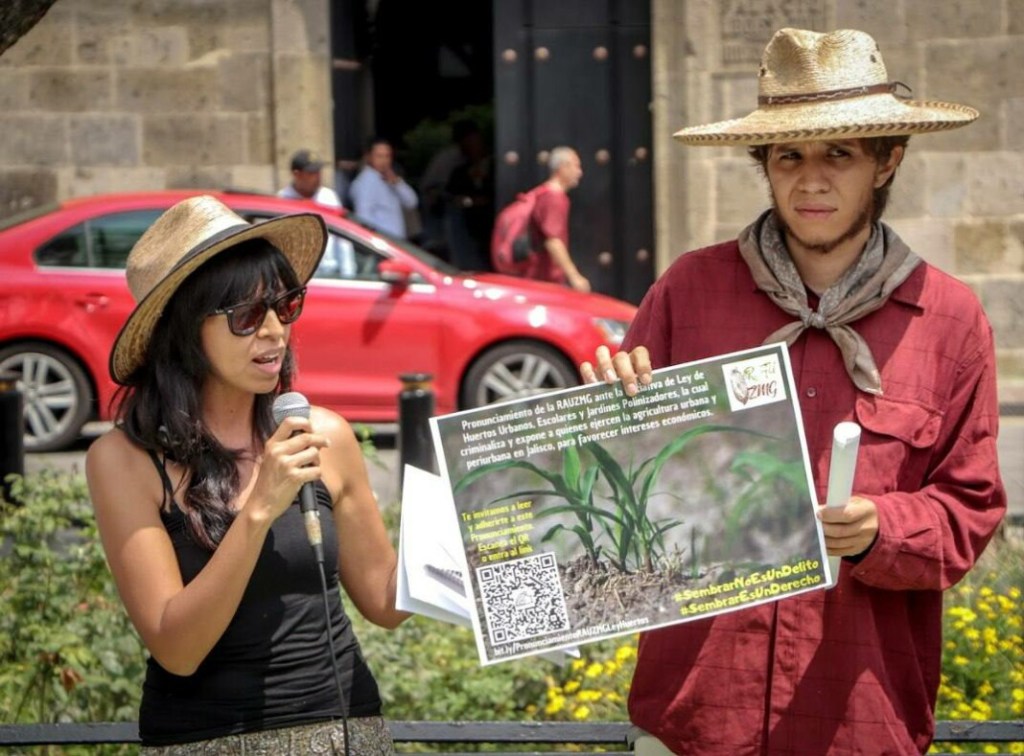 photo5747059201947051967