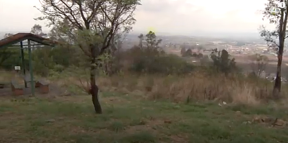 La Agencia de Bosques Urbanos quiere incorporar al parque del Cerro de la Reina