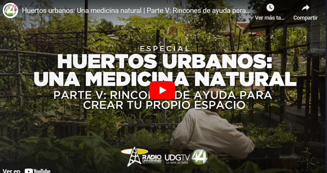 Huertos urbanos: Una medicina natural | serie completa