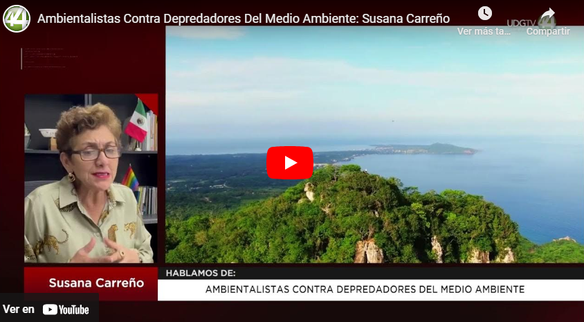 Ambientalistas Contra Depredadores Del Medio Ambiente: Susana Carreño