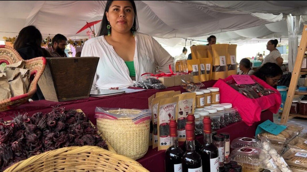 Festival de la Tierra: “Necesitamos un día de tregua en nuestras luchas”