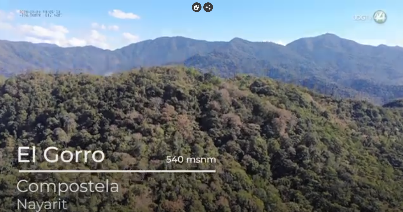 CONANP invertirá entre 20 y 30 millones en proyectos sobre la biosfera Sierra de vallejo-Río Ameca