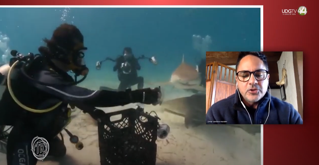 Territorio Reportaje || Una defensa de los tiburones (Parte 2)