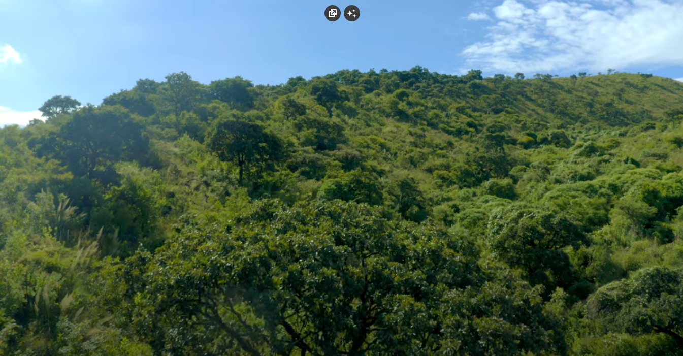 Documental «En Defensa del Cerro del 4»