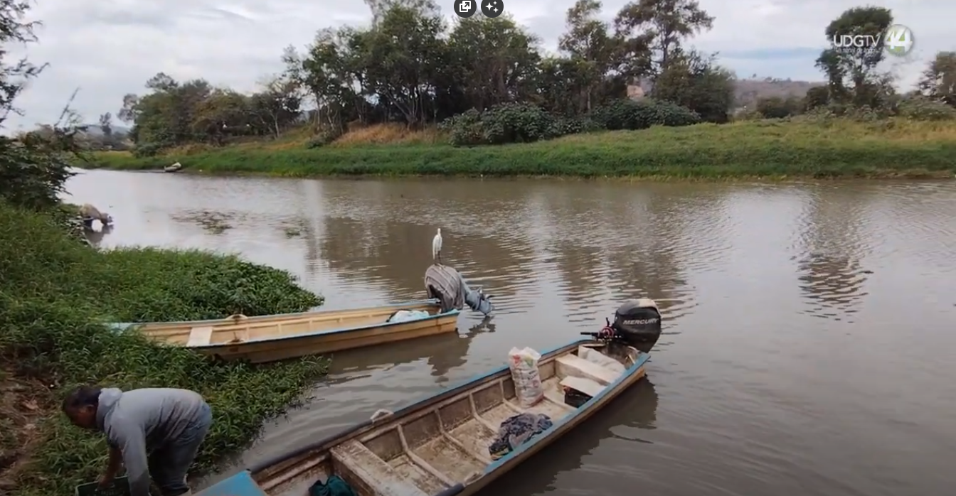 Pocos peces y una laguna con bajo nivel de agua es como se encuentran pescadores de Ocotlán