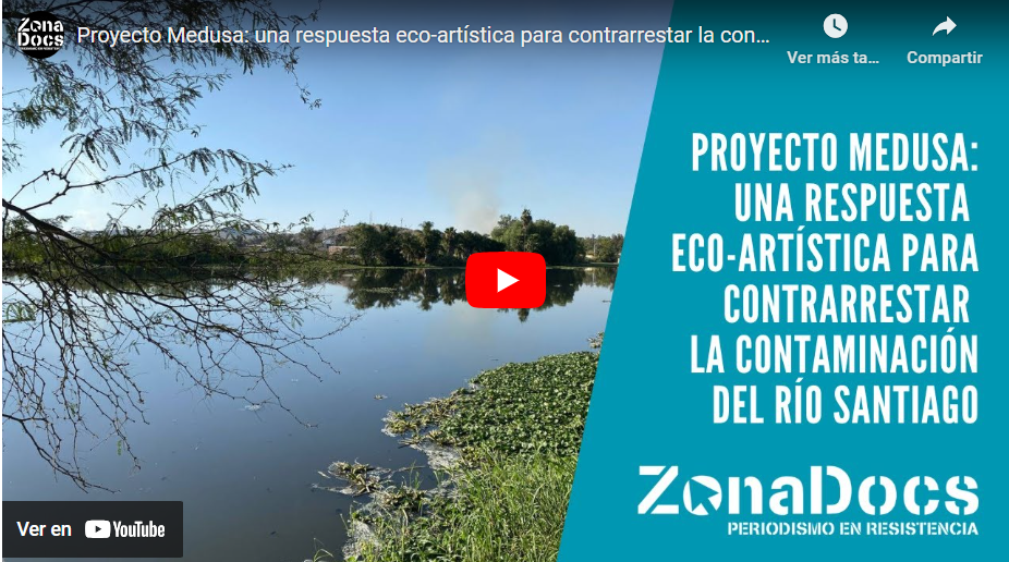 Museo de Ciencias Ambientales presenta la pieza “Medusa Río Santiago”
