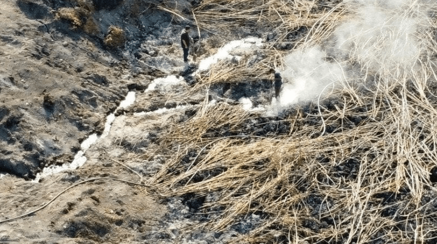 Captura de Pantalla 2024-07-09 a la(s) 17.50.52