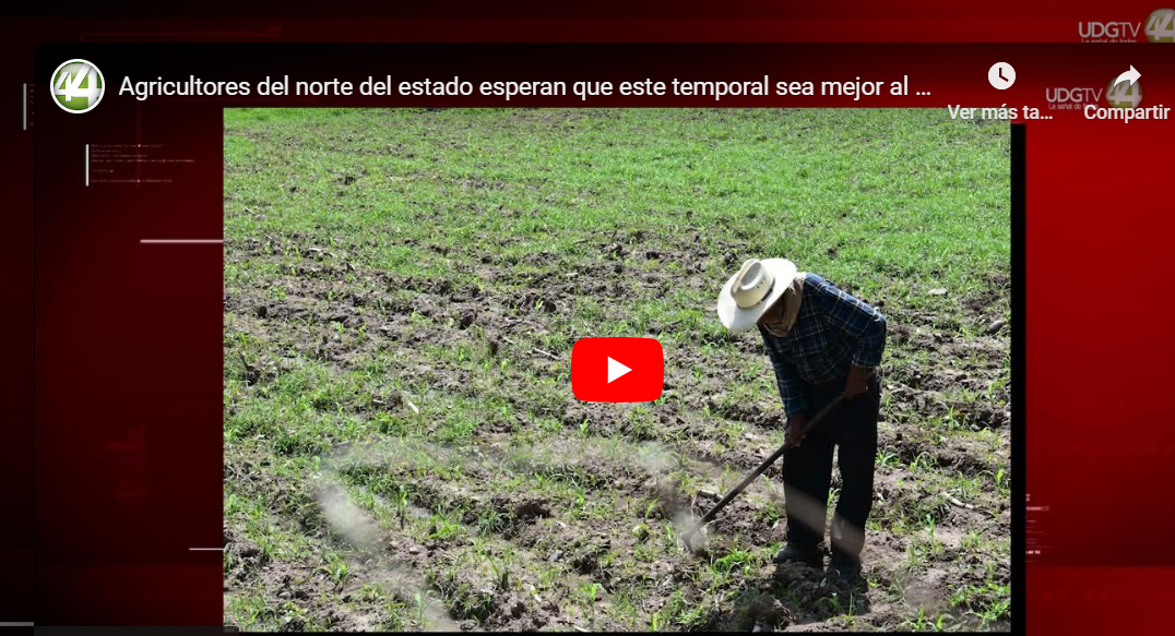 Agricultores del norte del estado esperan que este temporal sea mejor al anterior