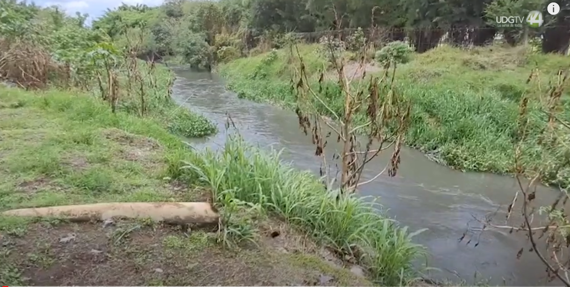 Vecinos de Jardínes del Castillo quedan atrapados por inundaciones