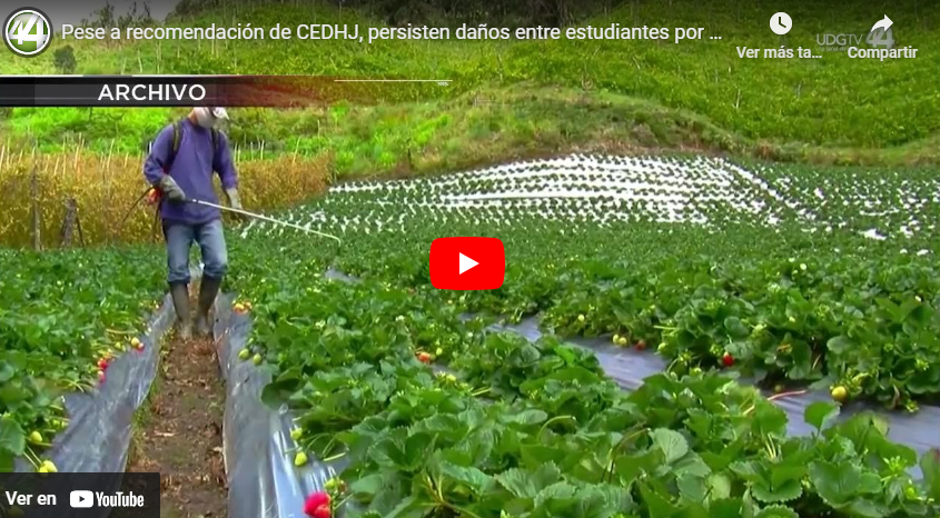 Pese a recomendación de CEDHJ, persisten daños entre estudiantes por pesticidas en Autlán