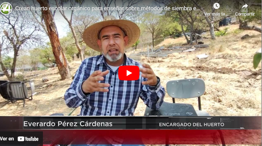 Crean huerto escolar orgánico para enseñar sobre métodos de siembra exentos de agroquímicos