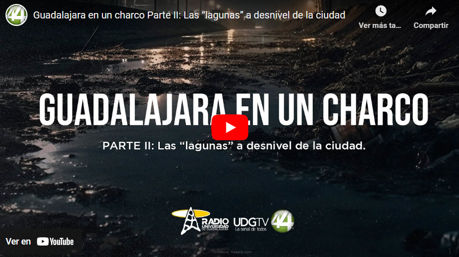 Guadalajara en un charco Parte I,II,III,IV,