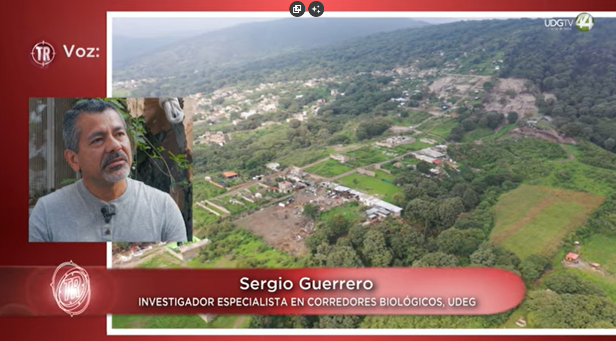 Territorio Reportaje | Ahuisculco, un corredor biológico esencial para La Primavera.
