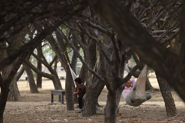 Parques urbanos, opción ante el ruido