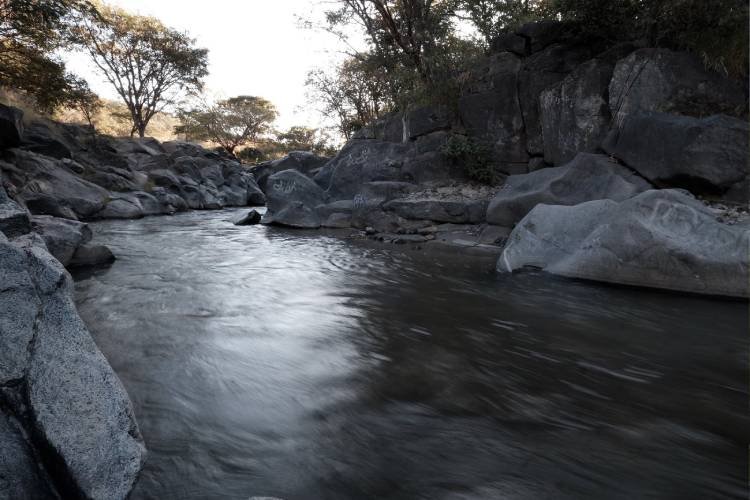 Apuestan por gestión transversal para el cambio climático