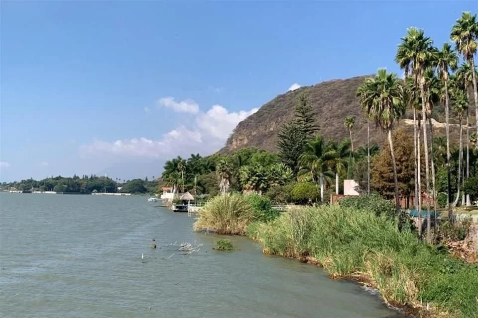 Vigila Chapala al Lago para evitar invasiones
