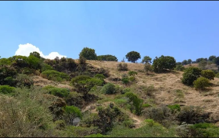 Buscan decretar al Cerro El Tajo Área Estatal de Protección Hidrológica