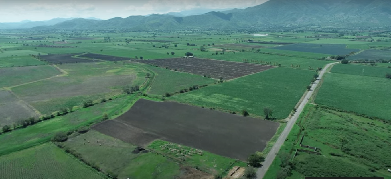 “Voces de la tierra salud y agroecología” visibiliza problemáticas y soluciones de la región