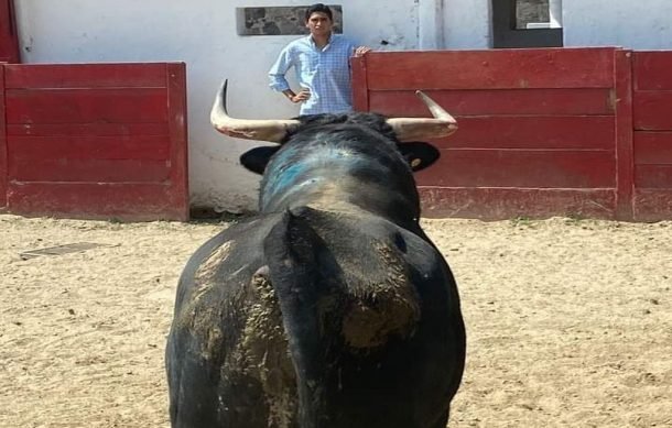 Grupos ambientalistas contra corridas de toros en GDL