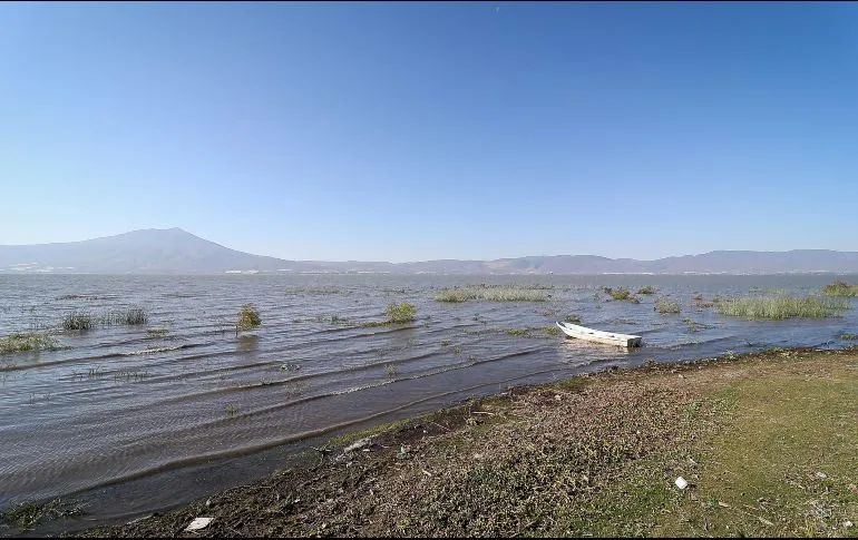 Estos son los efectos dañinos que traen las altas temperaturas al Lago de Chapala