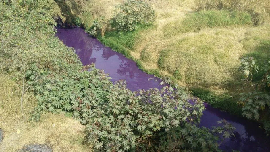 Recuperan la relación de vecinas y el Río Tepatitlán con arte y memoria