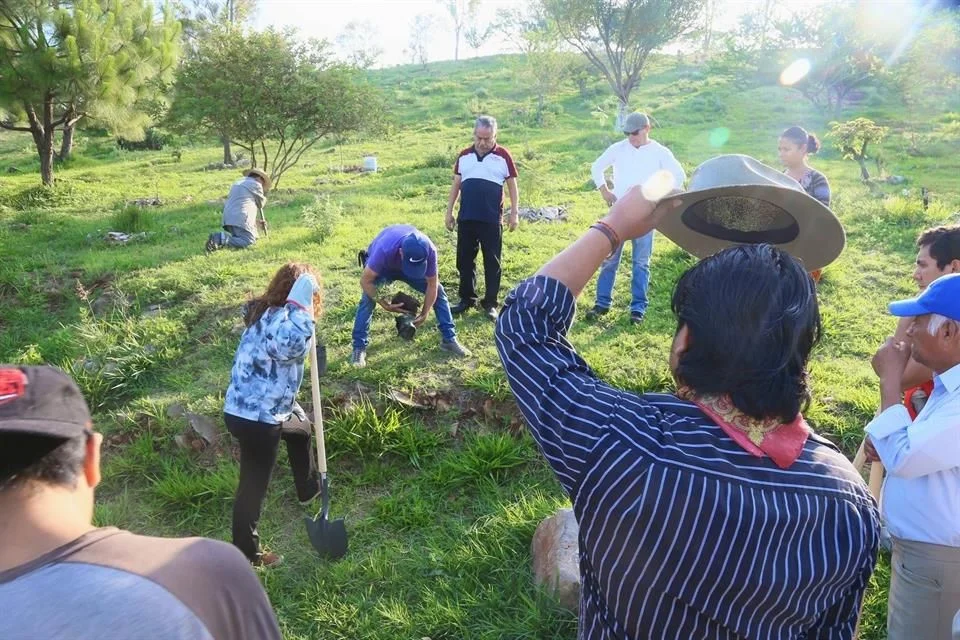 Activistas piden no donar el Cerro de la Reina a la Ambu
