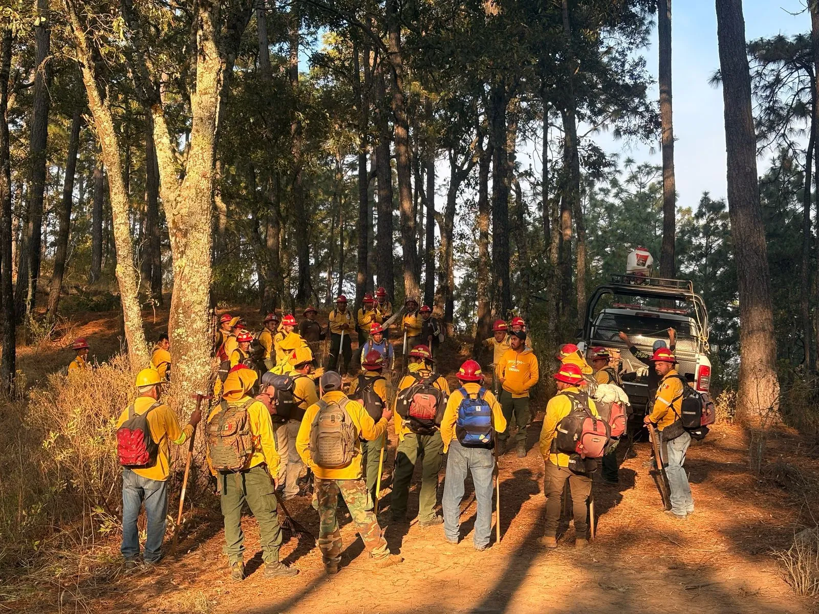 Incendio en Tapalpa consumió 70 hectáreas de bosque
