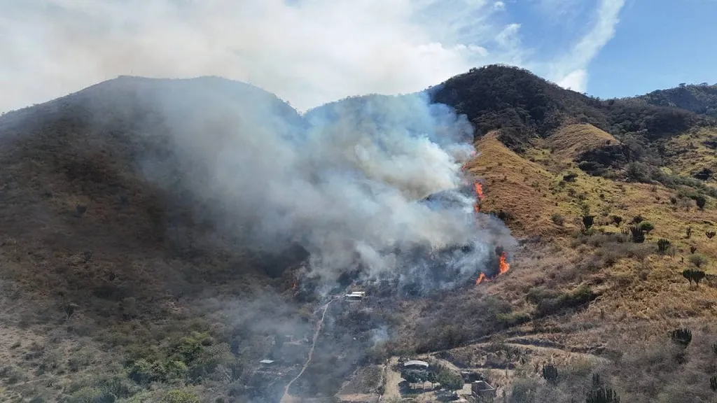 Incendio en predio Loma del Aire dañó al menos 20 hectáreas